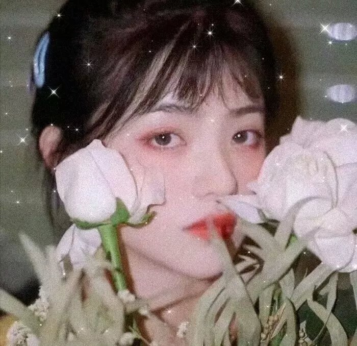 天才进化论第二季